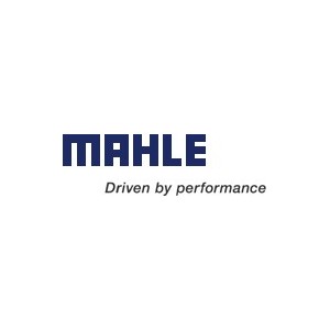 Segmentation Mahle