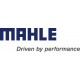 Segmentation Mahle